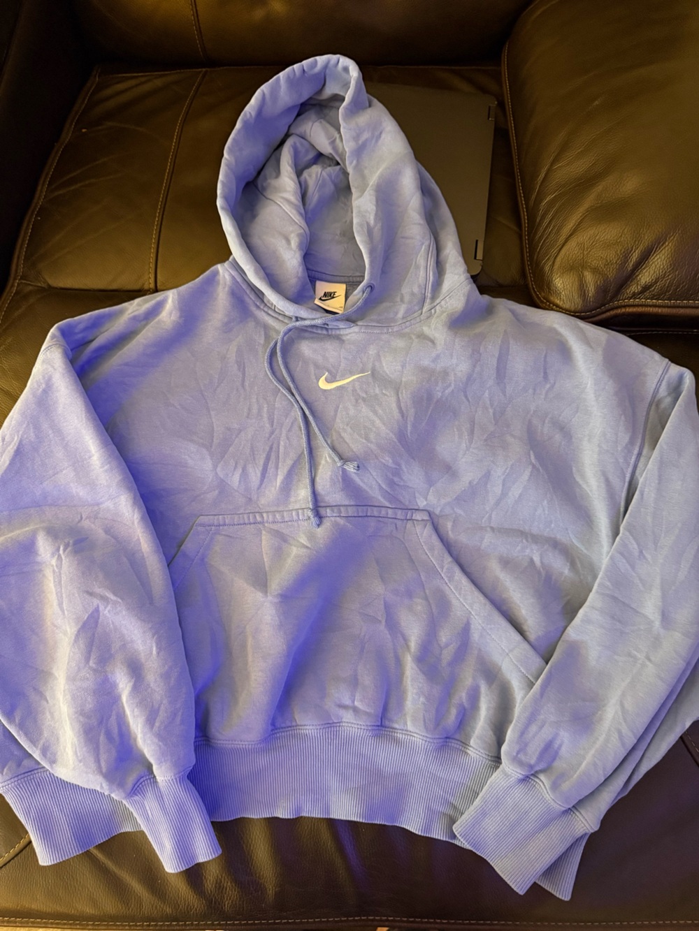 Nike Pastel Blue Hooded Pullover with White Swoosh Tag